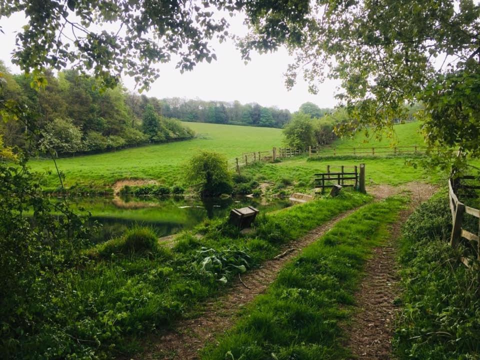 Holly Cottage, Hidden Gem In The Yorkshire Wolds Welton  Exterior foto